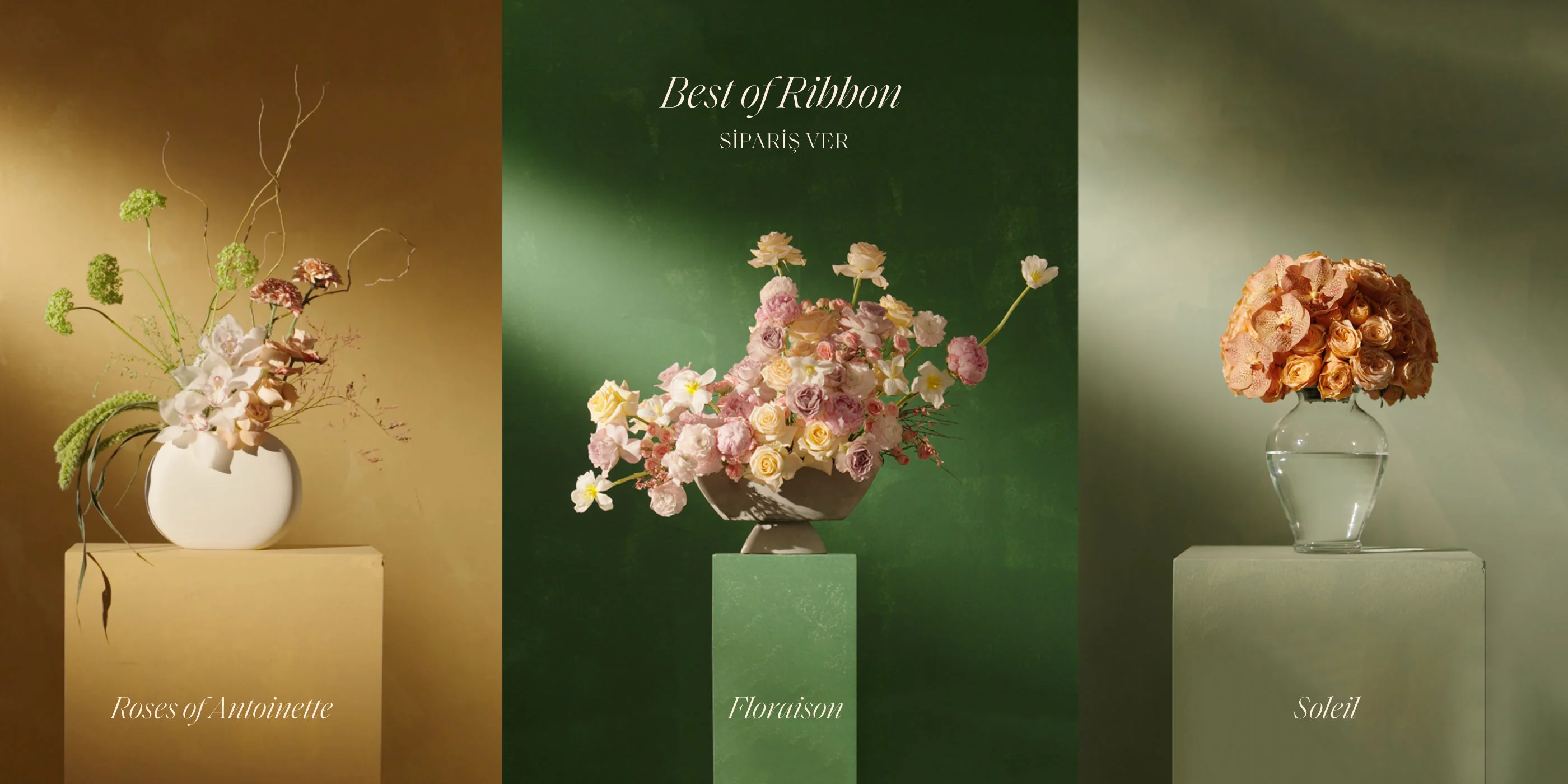 Best Of Ribbon 2024 - Web Banner
